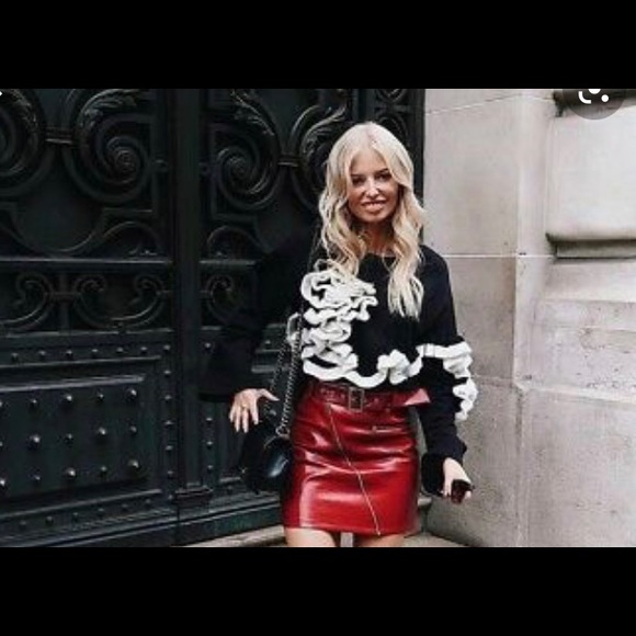 Zara Ruffled Sweater - Picture 1 of 5